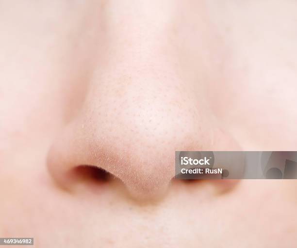 Closeup Still Life Of Womans Nose Stock Photo - Download Image Now - Nose, Close-up, Human Nose