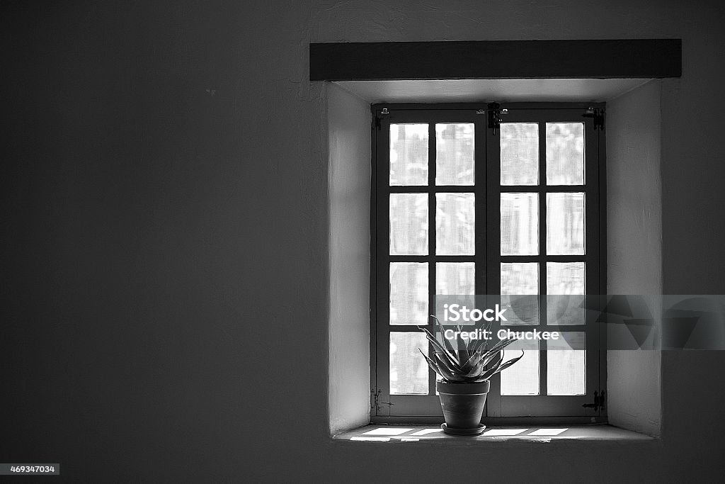 Window Winfow with Plant in Black and White 2015 Stock Photo