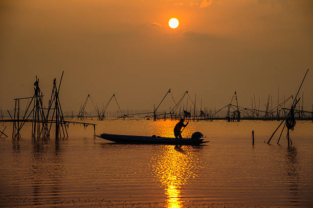 istock Man is Paddling in Swamp 469351864