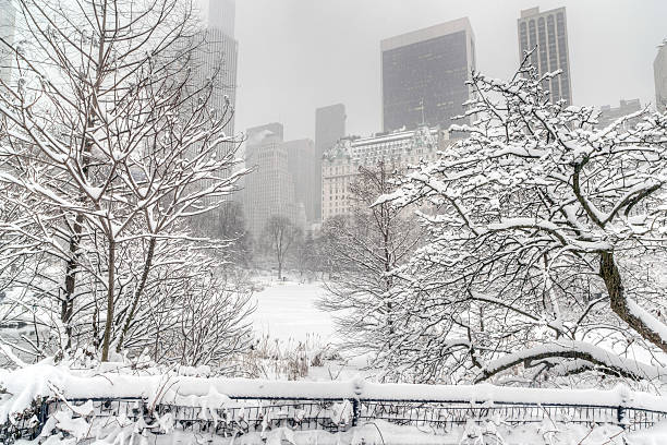 istock Central Park, New York City 469354470
