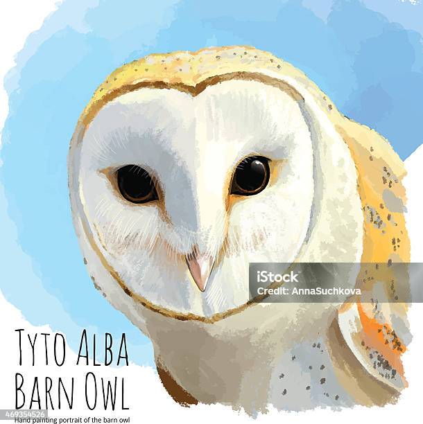 Barn Owl Linear Vector Hand Drawing Stock Illustration - Download Image Now - Barn Owl, Illustration, 2015