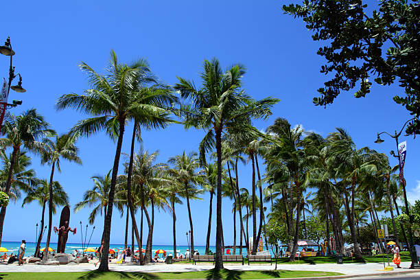 Stock image of Waikiki Beach, Honolulu, Oahu, Hawaii