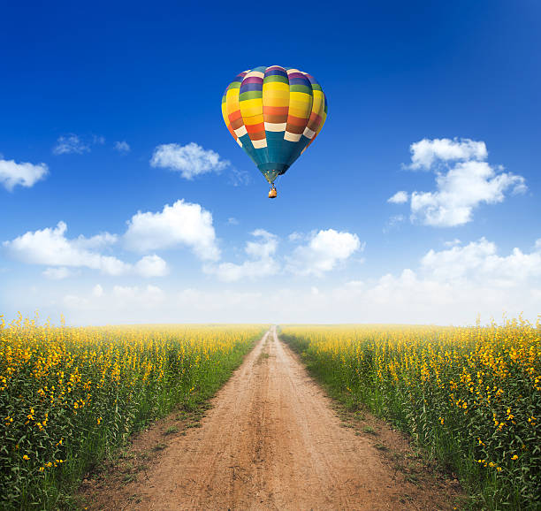 istock Hot air balloon over dirt road into yellow flower fields 469355234
