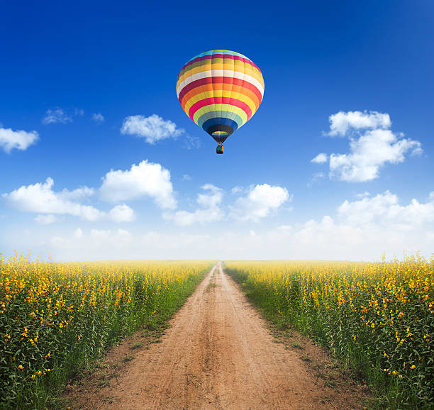 istock Hot air balloon over dirt road into yellow flower fields 469355248