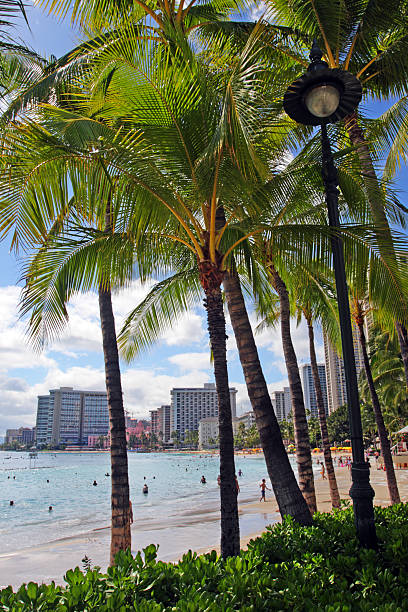 istock Waikiki Beach, Honolulu, Oahu, Hawaii 469355986