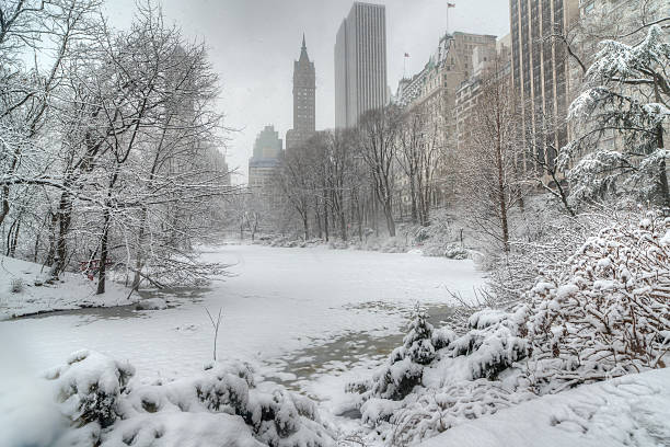 istock Central Park, New York City 469356026