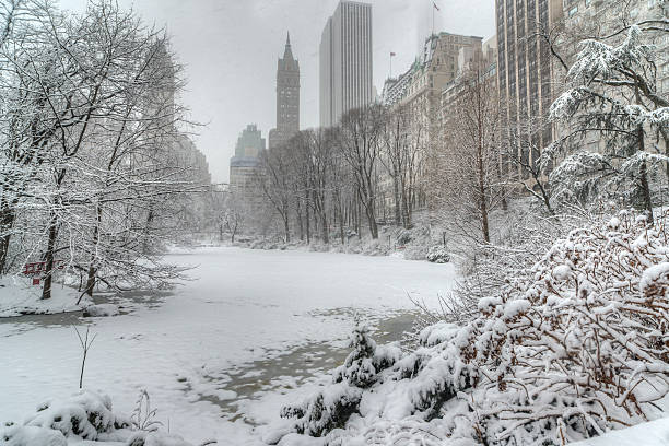 istock Central Park, New York City 469356380