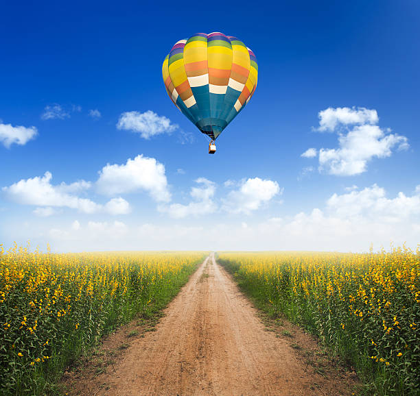istock Hot air balloon over dirt road into yellow flower fields 469359242
