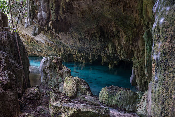 istock Inside a Cenote Pet cementery, Tulum riviera Maya, traveling Mex 469359482