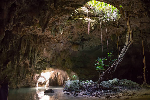 istock Inside a Cenote Pet cementery, Tulum riviera Maya, traveling Mex 469359526