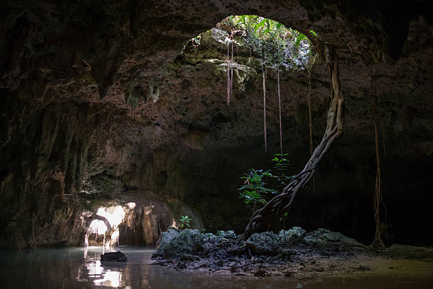 istock Inside a Cenote Pet cementery, Tulum riviera Maya, traveling Mex 469359528