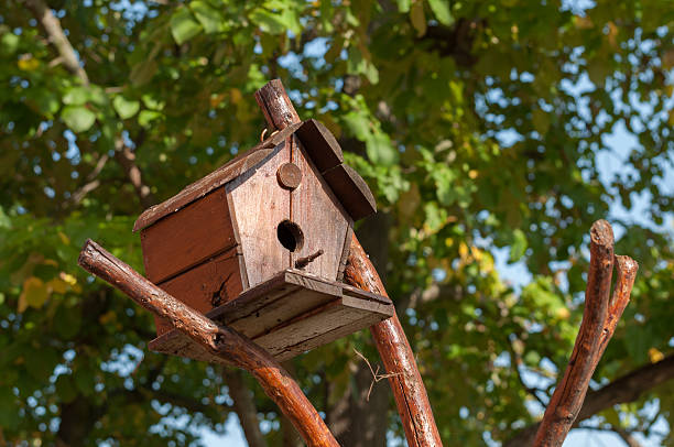 istock bird house on a tree surrounded by green leaf 469360554