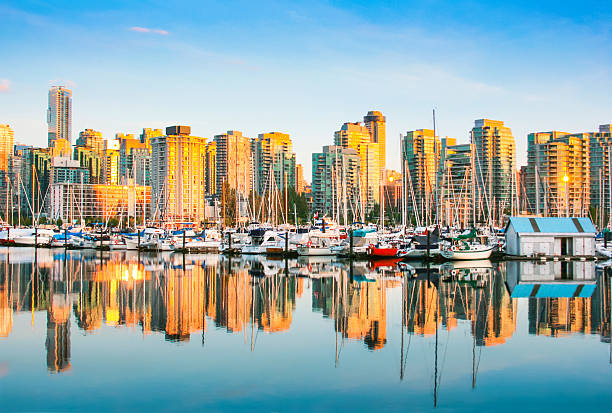 istock Vancouver skyline with Stanley Park at sunset, BC, Canada 469361598
