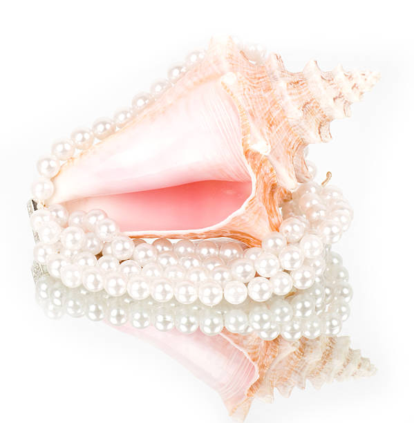 Against the background of a precious pearl and seashell stock photo