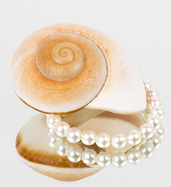 Against the background of a precious pearl and seashell stock photo