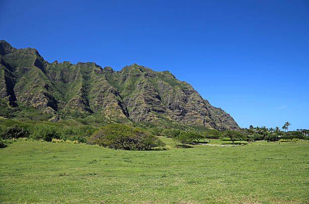 istock East cliff of Kualoa Ranch 469364080