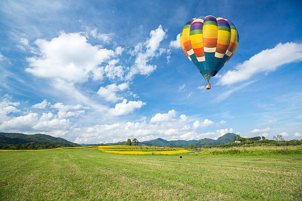 istock Hot air balloon over yellow flower fields against blue sky 469364942