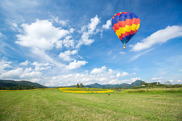 istock Hot air balloon over yellow flower fields against blue sky 469365920
