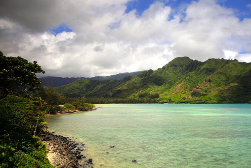 Stock image of Waikiki Beach, Honolulu, Oahu, Hawaii