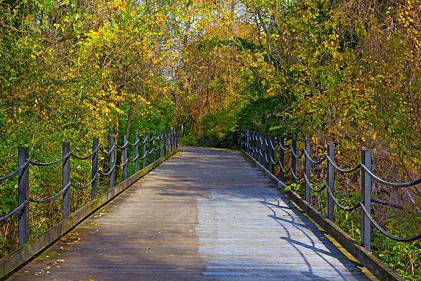istock Pathway in the early autumn in Arlington, Virginia. 469373916