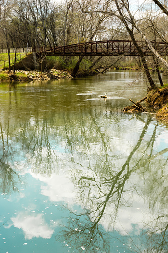 Springtime. River