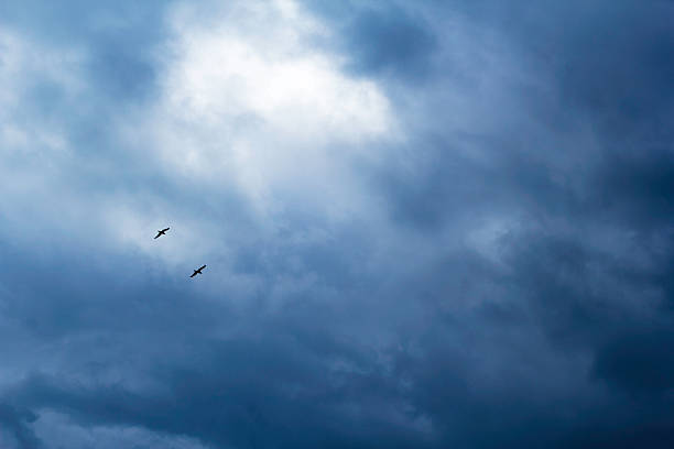istock In to the storm. 469374152