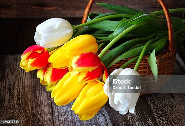 Colorful Tulips In A Basket On A Wooden Background Stock Photo - Download Image Now - 2015, Backgrounds, Basket