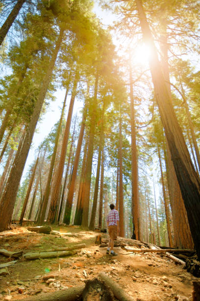 istock Young man at Yosemite National Park 469386056