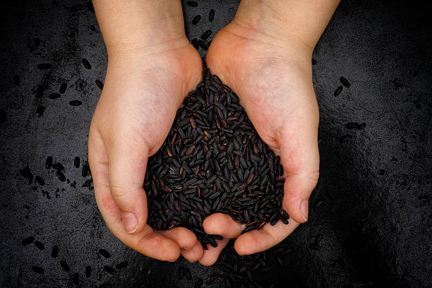 istock Child holds black rice in his hands. 469387220