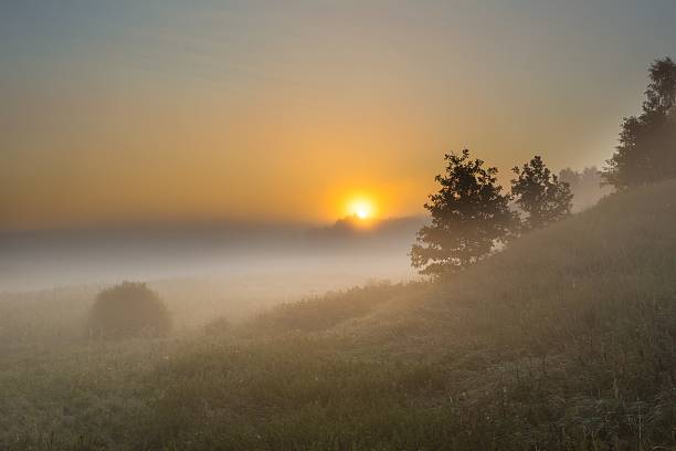 istock Foggy morning on polish meadow 469390654