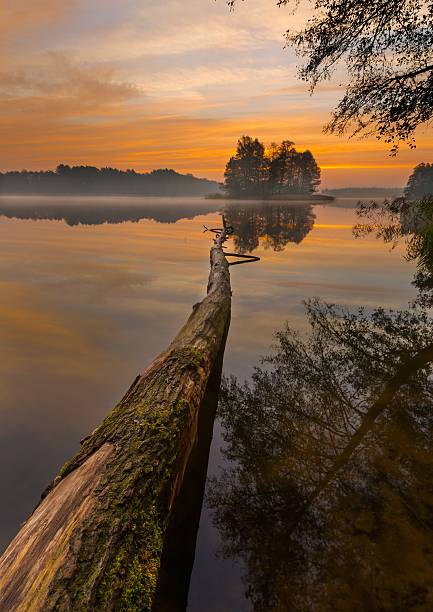 istock Beautiful lake sunrise landscape 469390658