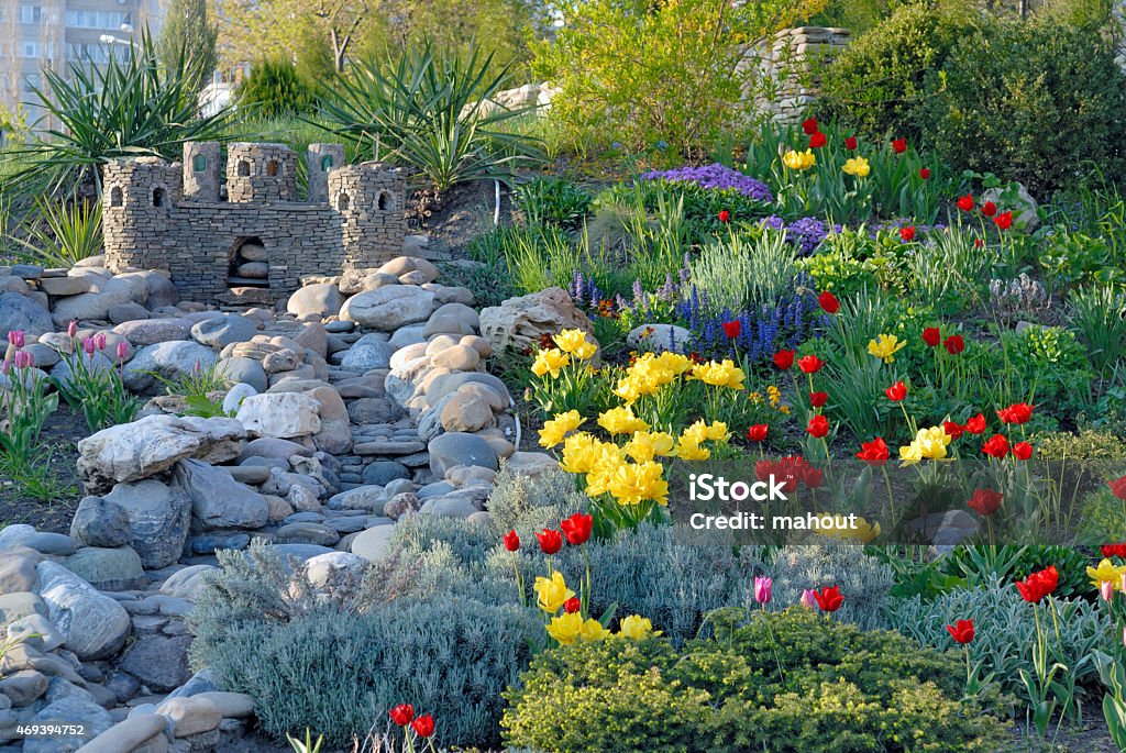 Decorative flower bed Beauty Stock Photo