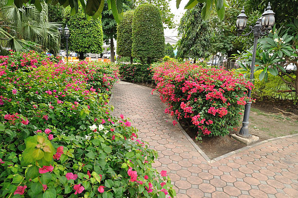 istock Walk way in flower garden. 469395038