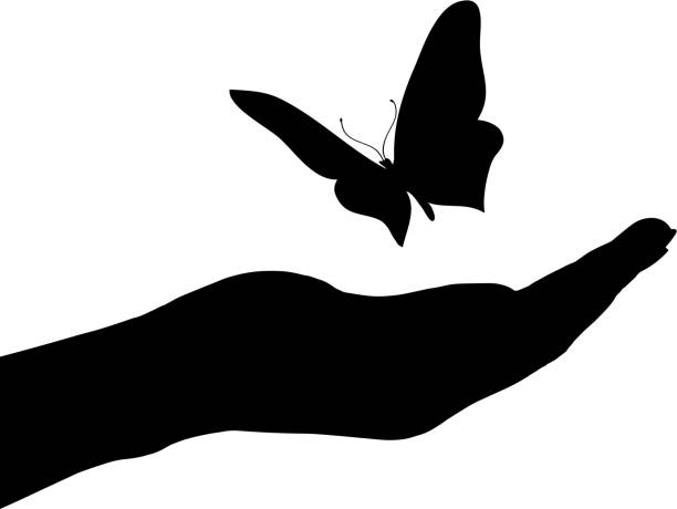 벡터 일러스트레이션 나비. - women butterfly creativity flying stock illustrations