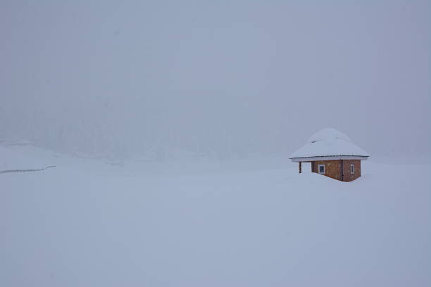 istock Gulmarg a white snow carper 469397142