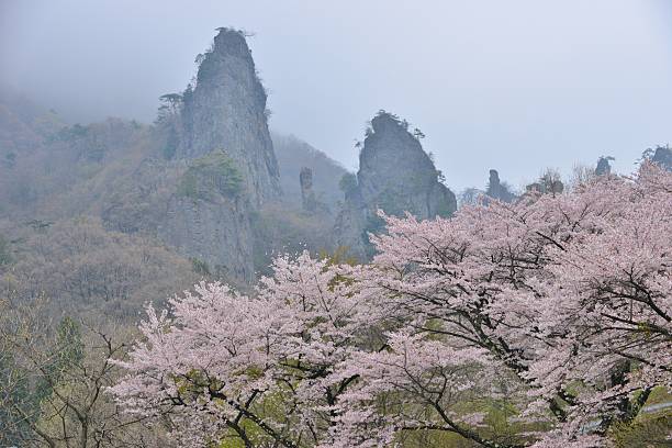 fiore di ciliegio a monte città di myogi, giappone - gunma foto e immagini stock