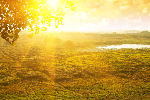view on beautiful sunrise field in morning with mist