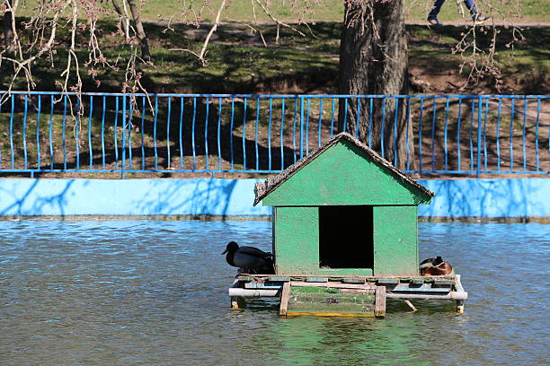 House for ducks on the lake.