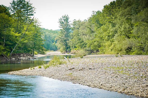 istock Landscape with the wood river 469420926