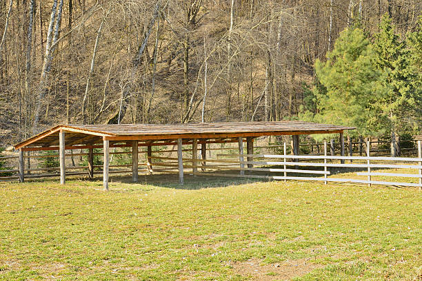istock View the site for horse riding 469431446