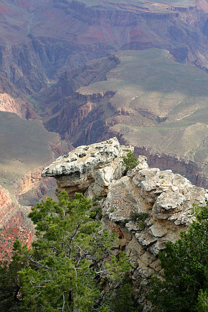 istock Grand Canyon National Park, USA 469431630