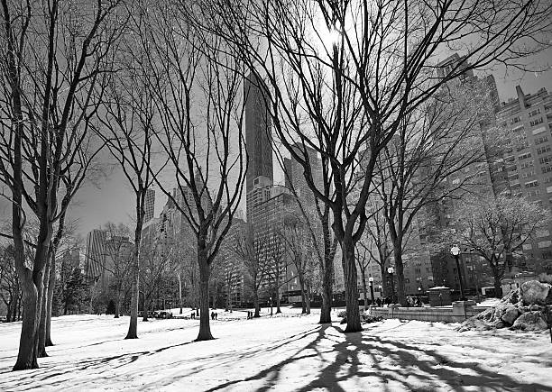 istock Central Park, New York in the snow-black and white 469433956