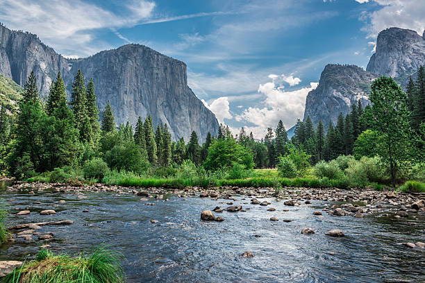 istock Yosemite National Park 469436772