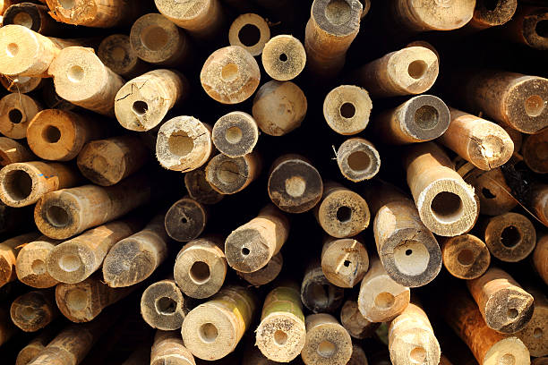 istock pile of cut wood for construction 469436862