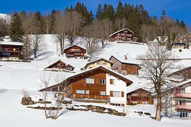 istock Winter in the alps 469444938