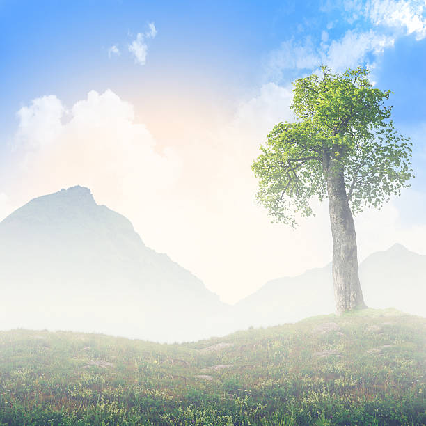 istock The force of life 469451114