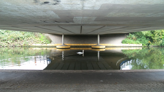image of a swan swimming under a moden canal bridge with bridge reflection in the water