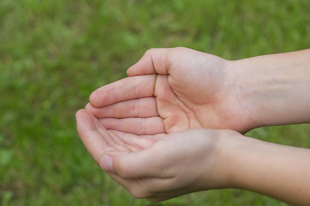 istock The child's hands with clasped palms. 469455484