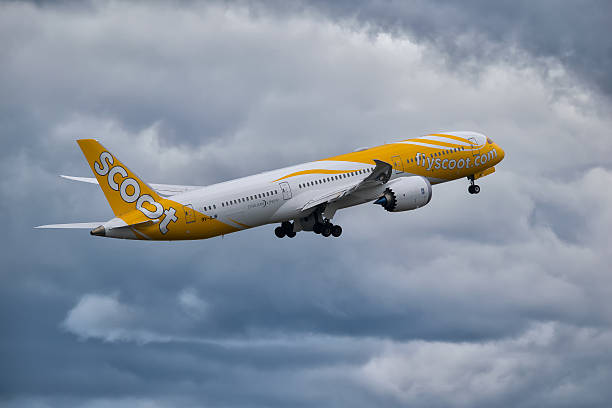 보잉 787 dreamliner - scoot 뉴스 사진 이미지