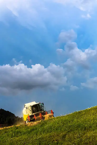 Harvester on a hilly ground with forest and dark blue clouds in background